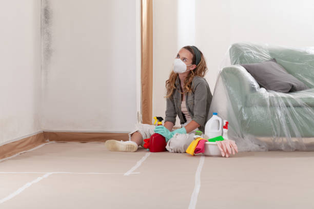 Reliable Commercial Mold Remediation contractor in Fishing Creek, MD by WQB Mold Removal
